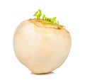 White turnip isolated on the white background Royalty Free Stock Photo