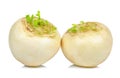 White turnip isolated on the white background Royalty Free Stock Photo