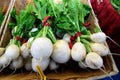 White turnips