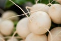 Farmer`s Market Turnips