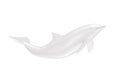 White Tursiops Truncatus Ocean or Sea Bottlenose Dolphin in Clay Style. 3d Rendering