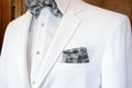 White tuxedo with silver plaid bow tie Royalty Free Stock Photo