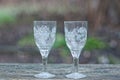 White two small glass crystal goblets Royalty Free Stock Photo