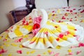 White two towel swans and red rose on the bed in Honey moon suit