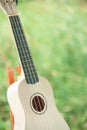 White ukulele on green background