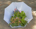 White umbrella with flowers and plants