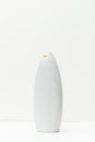 White unbranded plastic shampoo cream conditioner bottle isolated object item
