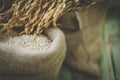 white grain rice in burlap sack bag Royalty Free Stock Photo