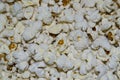 white uncovered popcorn grains close-up in a frying pan