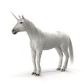 White Unicorn