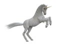 White unicorn rearing up on hind legs. Fairytale creature 3d illustration isolated on white background