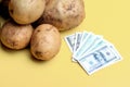 White unwashed potatoes on a yellow background next to a bundle of dollars