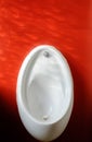 White Urinal Basin Against Red Wall