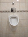 White urinal, pissoir on wall Royalty Free Stock Photo