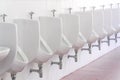 White urinals ceramic men public toilet Royalty Free Stock Photo