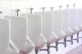 White urinals ceramic men public toilet in bathroom Royalty Free Stock Photo