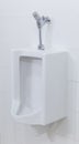 White urinals install