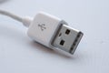 White usb cable Royalty Free Stock Photo