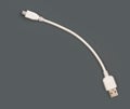 White USB cable on a gray background. Royalty Free Stock Photo
