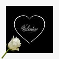 White Valentine heart silhouette with text on black with rose Royalty Free Stock Photo