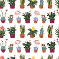 White variety of aligned Succulents seamless vector pattern. Floral pattern with blooming succulents. Spring pattern Royalty Free Stock Photo