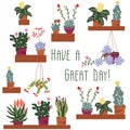 White variety of Succulents vector illustration with the text Have a nice day. Floral illustration with blooming