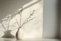 White Vase with Blooming Branches in Sunlight Royalty Free Stock Photo