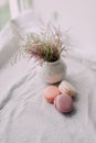 White vase with a bouquet and a cake Macaroni