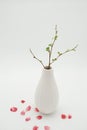 White vase with budding branch