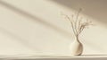 White Vase with Dried Flower Branches in Sunlight Royalty Free Stock Photo