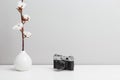 A white vase with a dry cotton flower twig and antique camera