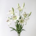 Vibrant White Lilies In Focus Stacking: High Resolution Commercial Photography