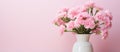 a white vase filled with pink flowers on a pink background Royalty Free Stock Photo