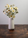 White vase full of fresh cut daisy flowers sitting on a wooden cutting board with a white wall behind. A little outdoor nature