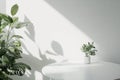 White Interior with Plant in Round Vase and Blank Space for Product Presentation Royalty Free Stock Photo