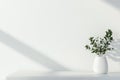 White Interior with Plant in Round Vase and Blank Space for Product Presentation Royalty Free Stock Photo