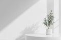 White Interior with Plant in Round Vase and Blank Space for Product Presentation Royalty Free Stock Photo