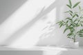 White Interior with Plant in Round Vase and Blank Space for Product Presentation Royalty Free Stock Photo