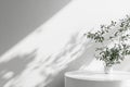 White Interior with Plant in Round Vase and Blank Space for Product Presentation Royalty Free Stock Photo