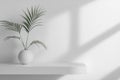 White Interior with Plant in Round Vase and Blank Space for Product Presentation Royalty Free Stock Photo