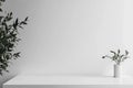 White Interior with Plant in Round Vase and Blank Space for Product Presentation Royalty Free Stock Photo