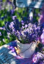 White vase with lavender bouquet on vintage chair, on lavender field