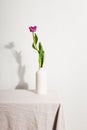 White vase with pink tulip on table with beige tablecloth. Gray background, shadow on wall Royalty Free Stock Photo