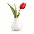 Photorealistic Red Tulip In Modern Ceramic Vase