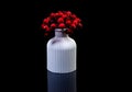 white vase with red berries in ice with reflection, black background isolated