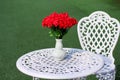 White vase with red rose flowers decorative on table on blurred green garden background Royalty Free Stock Photo