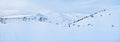 The white vastness, Feuerkogel Mountain plateau, Ebensee, Salzkammergut, Austria