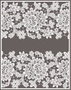 White Vector Lace Royalty Free Stock Photo