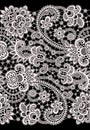 White Vector Lace. Royalty Free Stock Photo
