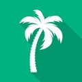 White vector palm tree flat icon Royalty Free Stock Photo